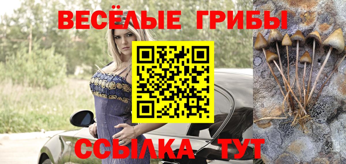 Галлюциногенные грибы мицелий  Вход с VPN  Галлюциногенные грибы MAGIC MUSHROOMS  Фрязино 